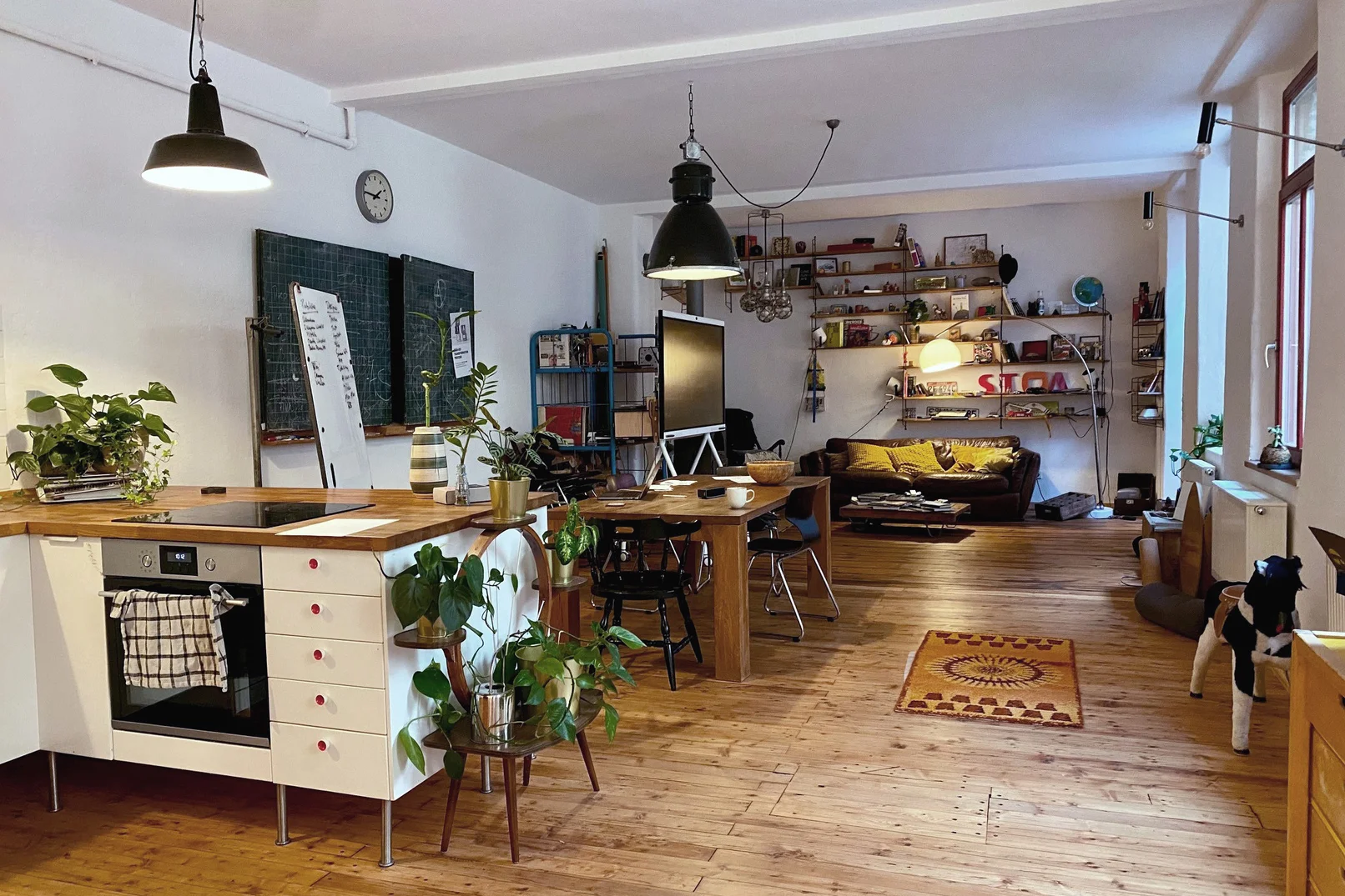 Offener Raum mit Küchenzeile, Esstisch, Sofa und vielen Pflanzen